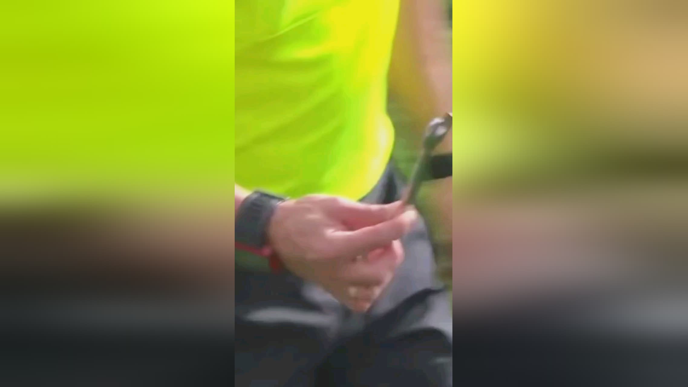 赛中有几